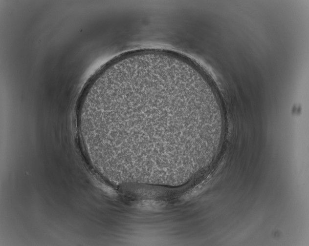 X0000094421271200712061043