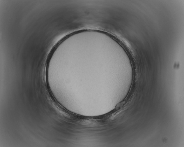 X0000094421272200712061043