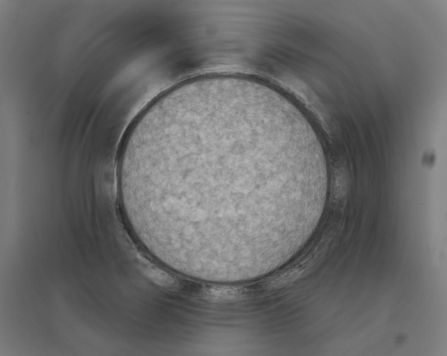 X0000094421274200712061043