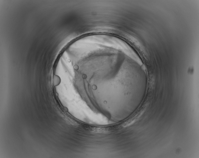 X0000094421275200712061043