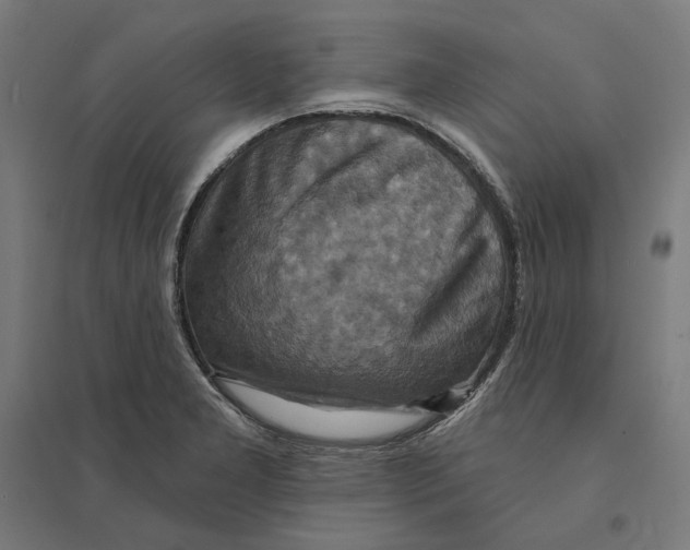 X0000094421277200712061043