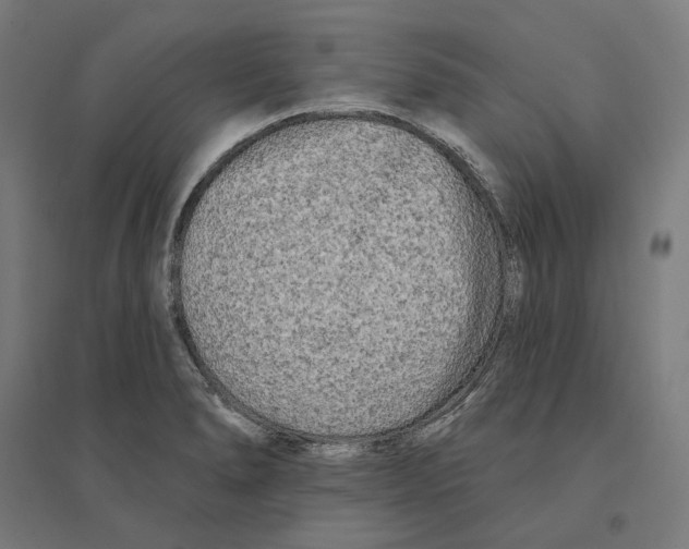 X0000094421278200712061043