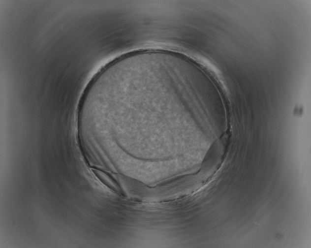 X0000094421280200712061042