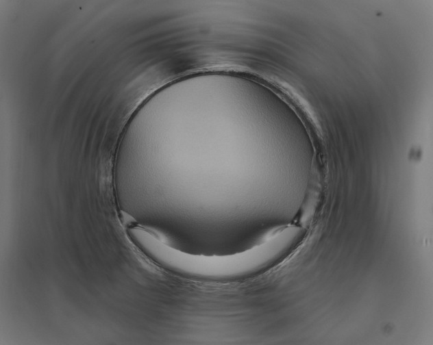 X0000094421281200712061042