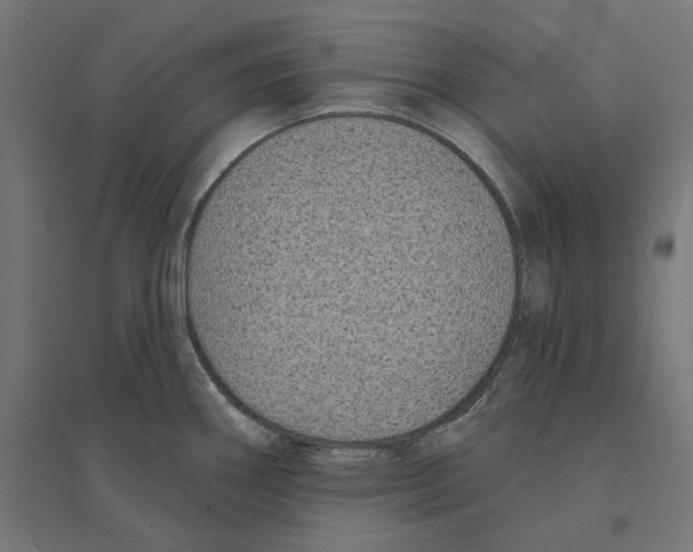 X0000094421290200712061042