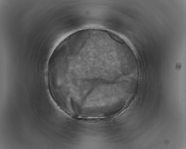 X0000094421295200712061042