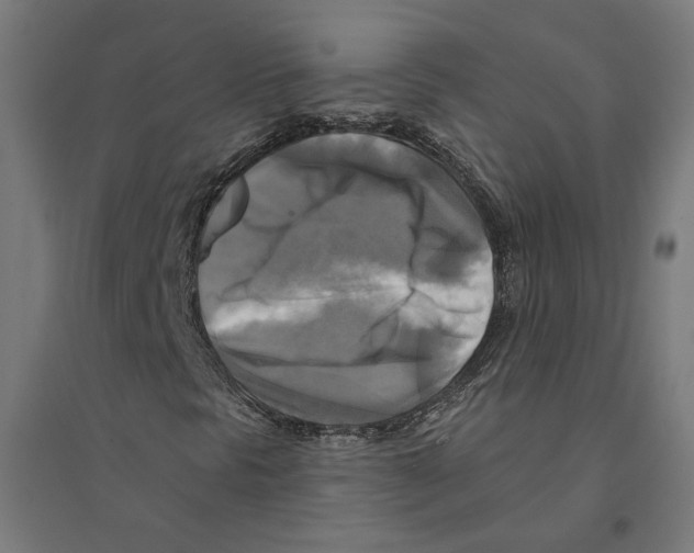 X0000094421297200712061042