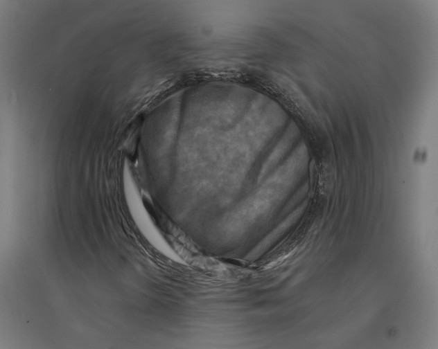 X0000094421298200712061042