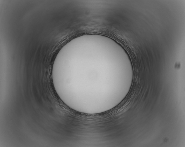 X0000094421300200712061042