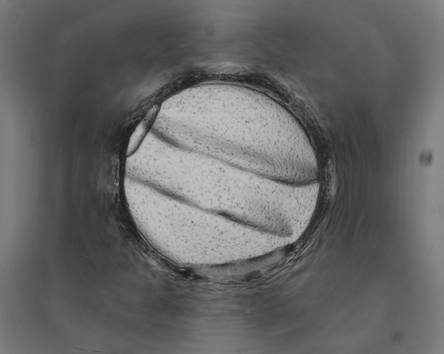 X0000094421301200712061042