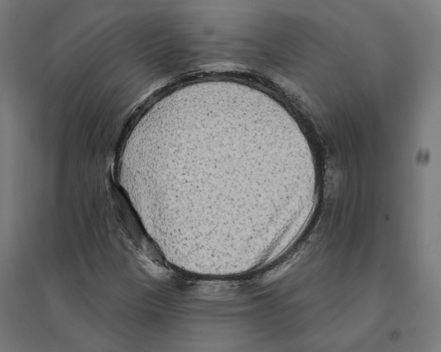 X0000094421305200712061042