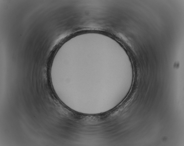 X0000094421307200712061042