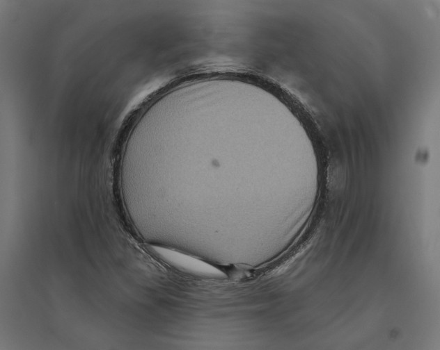 X0000094421309200712061042