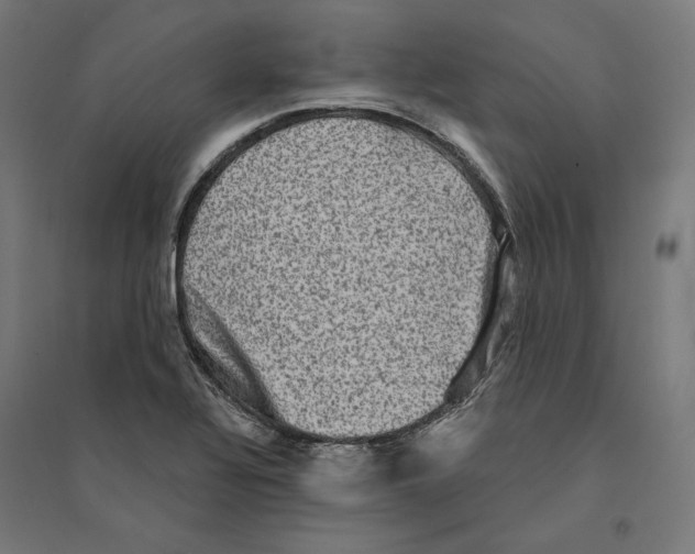 X0000094421320200712061042