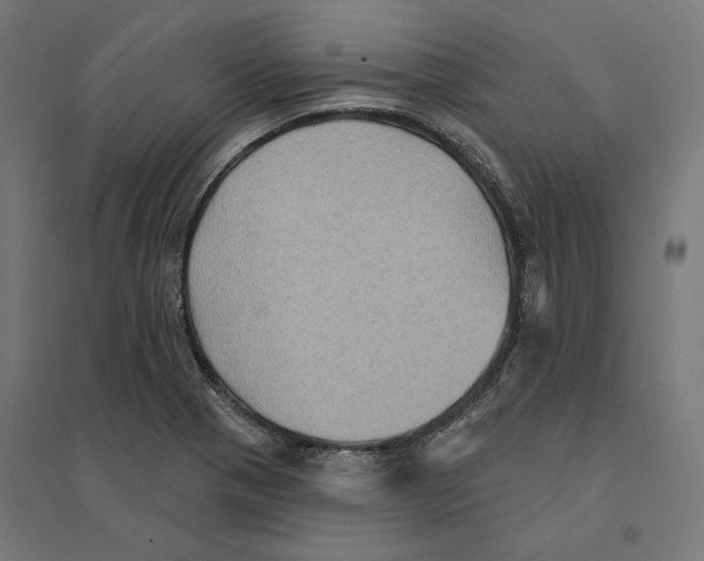 X0000094421321200712061042