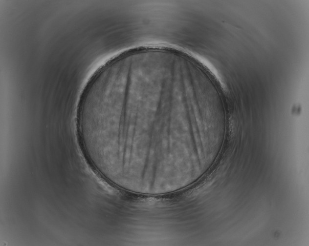 X0000094421327200712061042