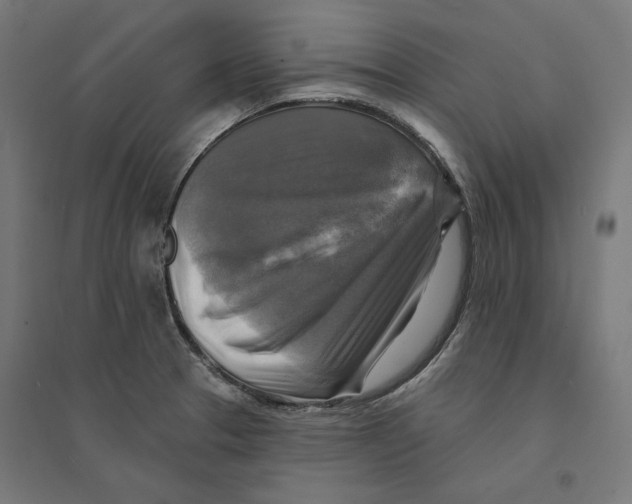 X0000094421329200712061042