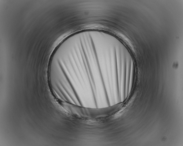 X0000094421330200712061042