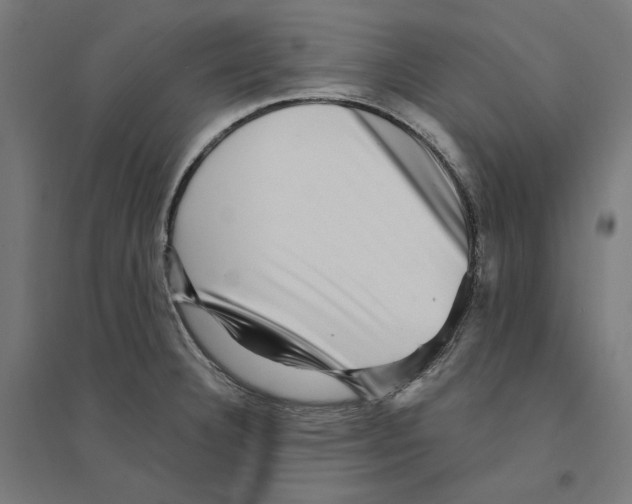 X0000094421332200712061042