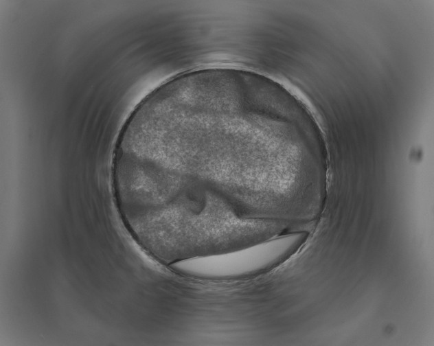 X0000094421333200712061042