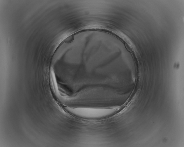 X0000094421337200712061042