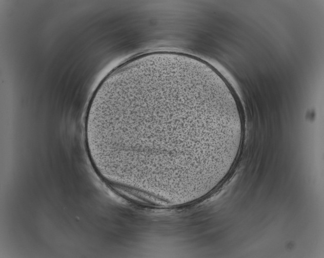 X0000094421341200712061042