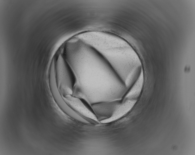 X0000094421344200712061042