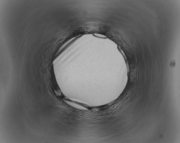 X0000094421345200712061042