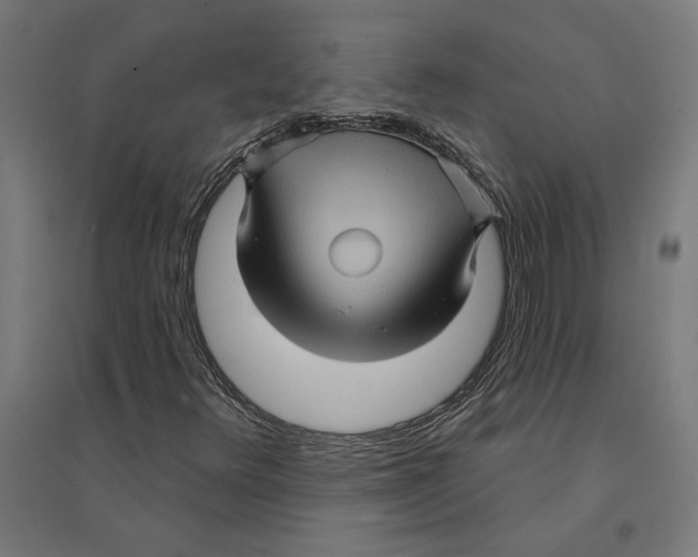 X0000094421348200712061042