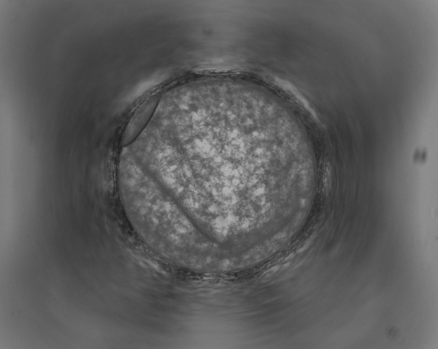 X0000094421350200712061042