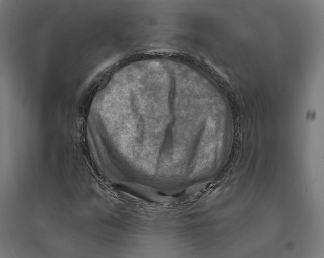 X0000094421351200712061042