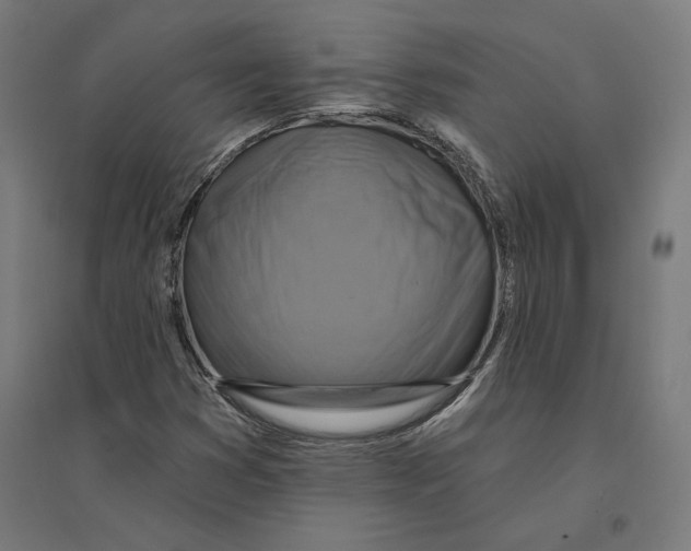 X0000094421353200712061041