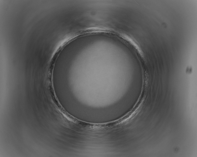 X0000094421357200712061041