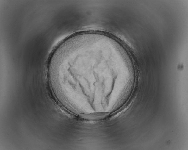 X0000094421358200712061041