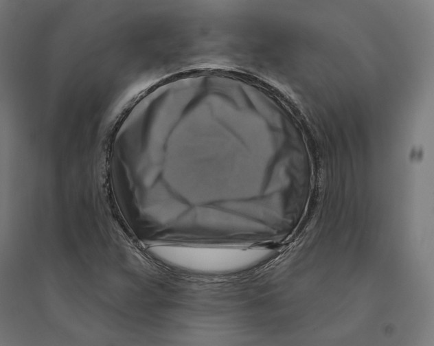 X0000094421359200712061041