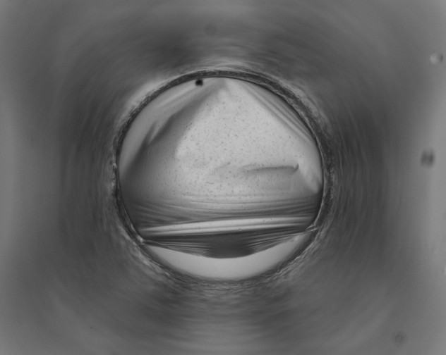 X0000094421363200712061041