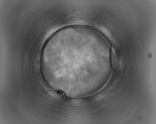 X0000094421364200712061041