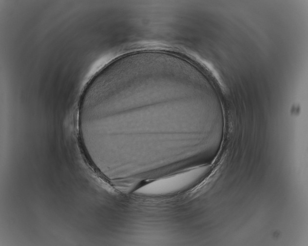 X0000094421365200712061041