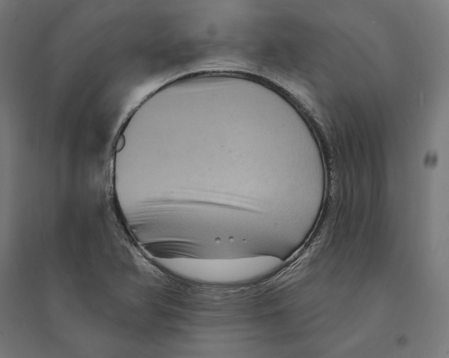 X0000094421366200712061041