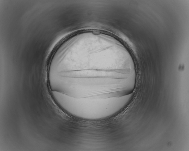 X0000094421368200712061041