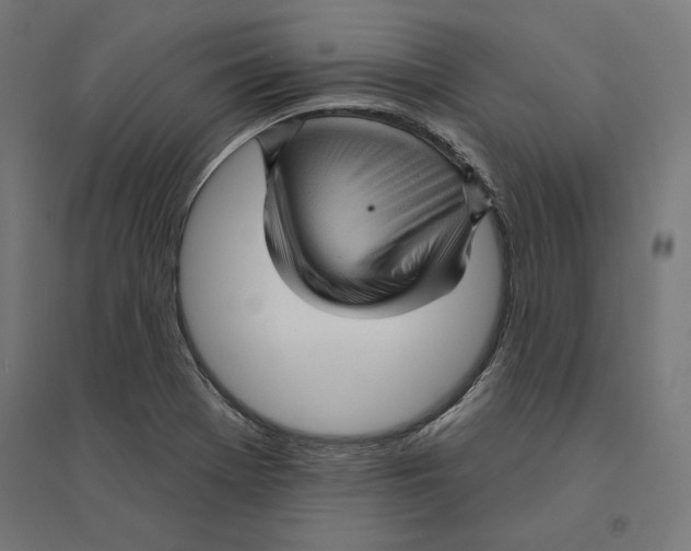 X0000094421369200712061041