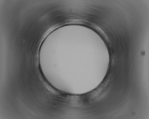 X0000094421370200712061041