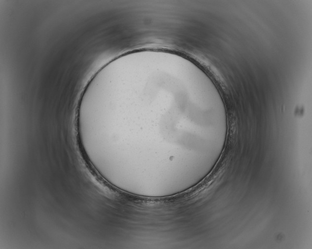 X0000094421375200712061041