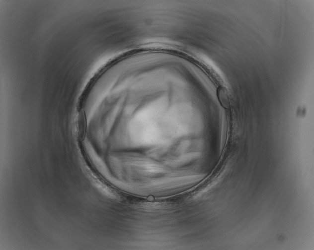 X0000094421376200712061041