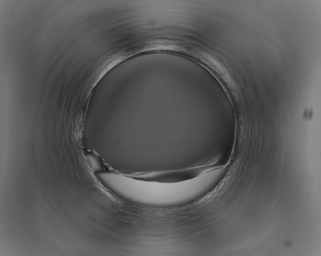 X0000094421377200712061041