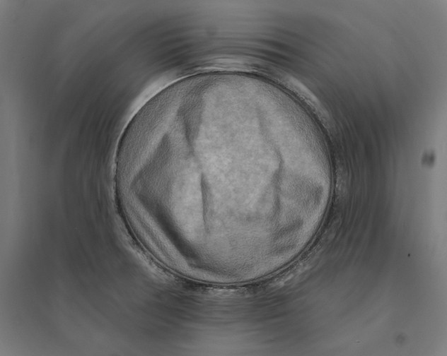 X0000094421378200712061041