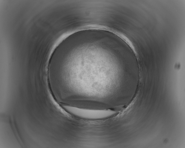 X0000094421381200712061041