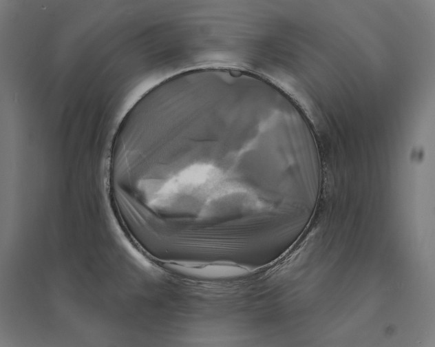 X0000094421383200712061041