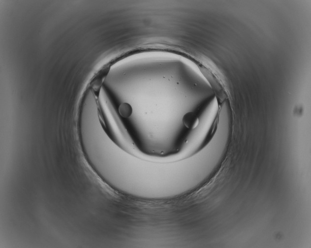 X0000094421384200712061041