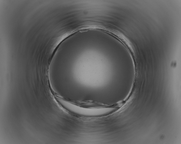 X0000094421385200712061041